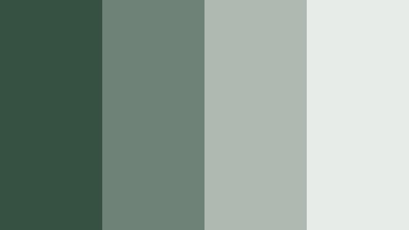 rainwashed concrete fern woodland fern color palette with hex codes