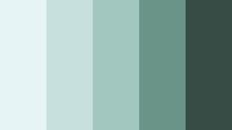 rainwashed courtyard mint sage color palette with hex codes