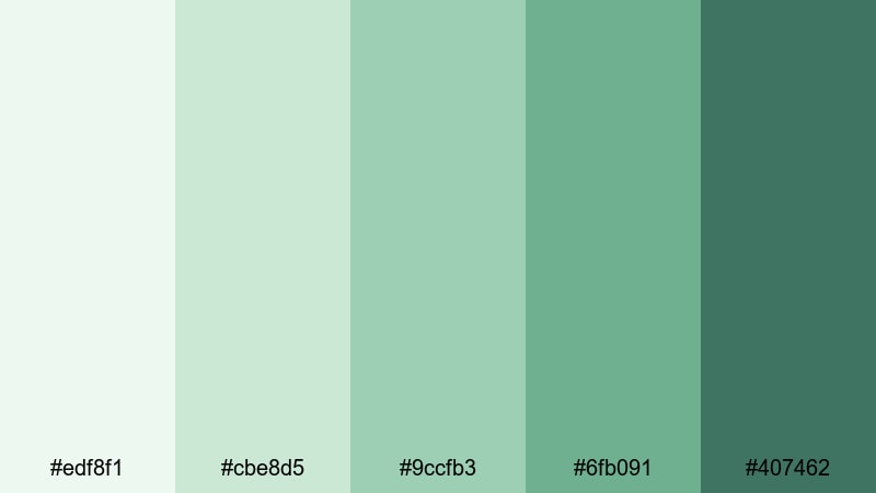 rainwashed fern light green color palette with hex codes