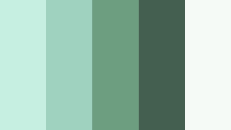rainwashed garden path pale seafoam color palette with hex codes