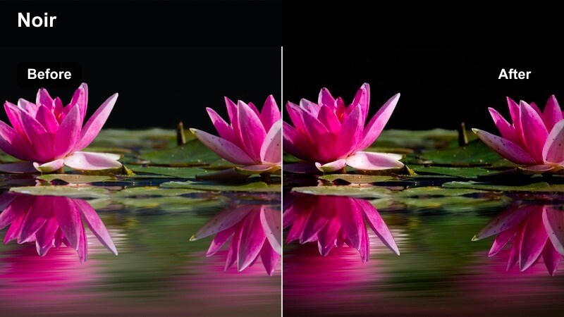 Moody urban street at night with rain reflections and cool noir-inspired color grading.