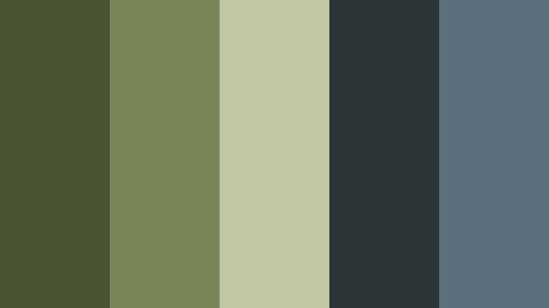 rainy trail wanderer filmic olive color palette with hex codes
