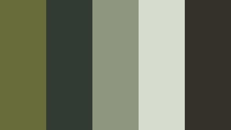 rainy trail wanderer mossy olive color palette with hex codes