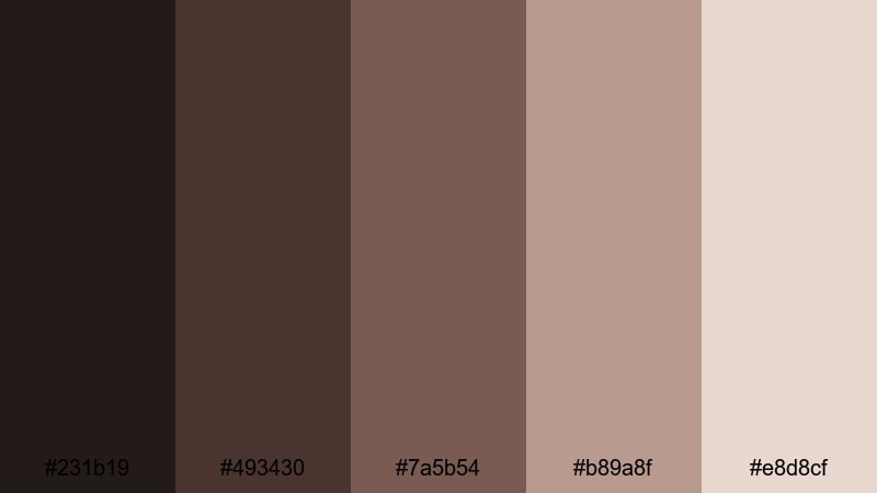 rainy window chocolate chocolate color palette with hex codes
