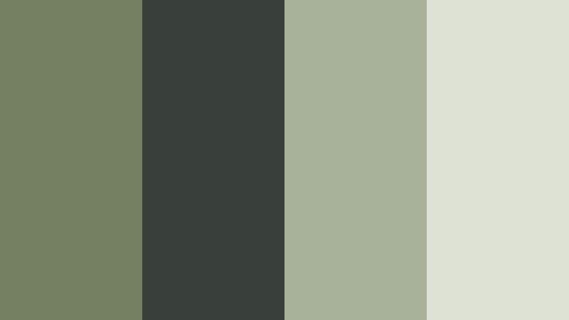 rainy window olive olive mist color palette with hex codes