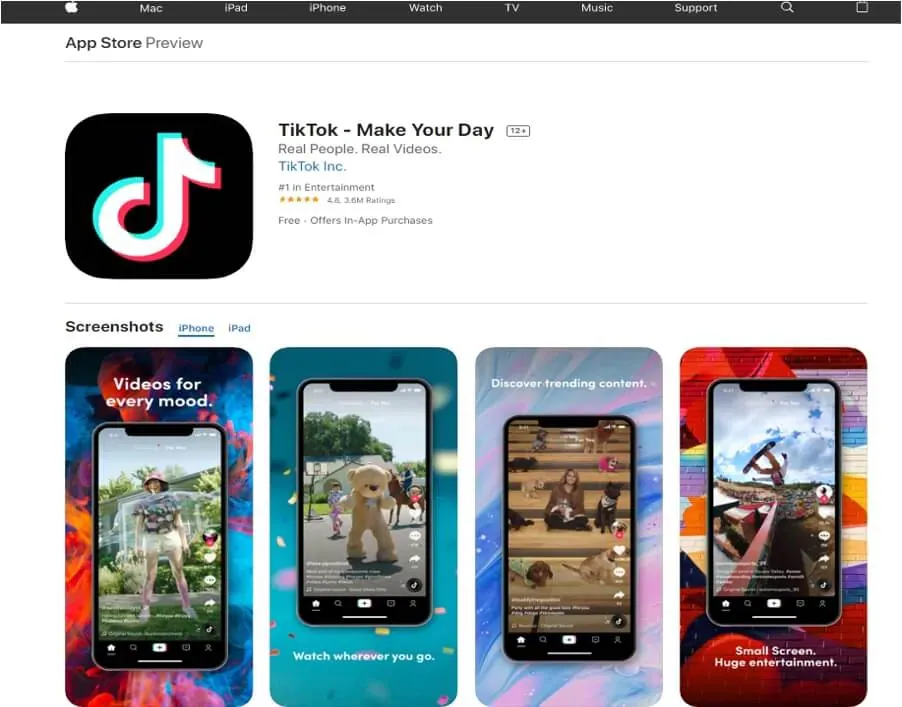 tiktok app in app store