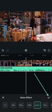 filmora voice options