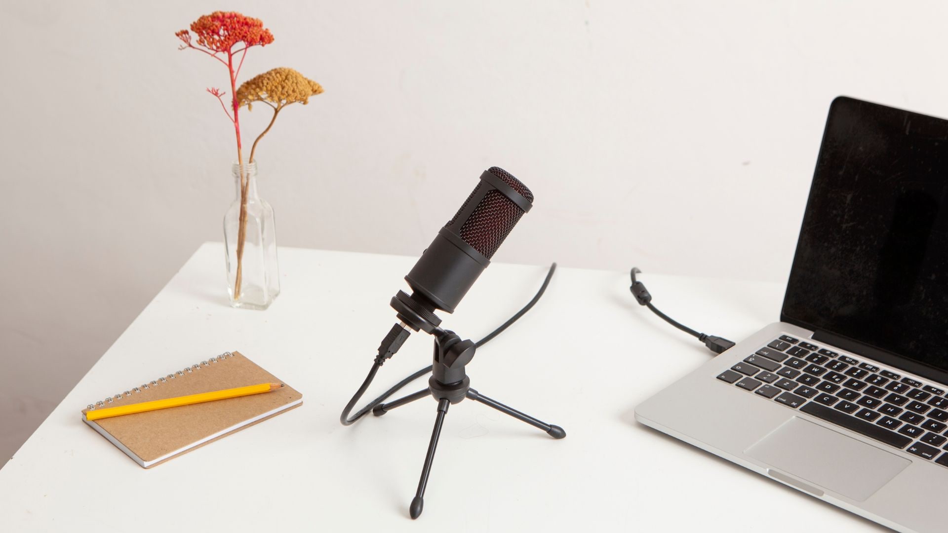 plug your microphone to your laptop