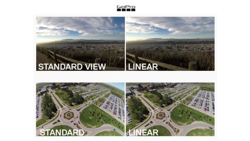 record in linear field of view