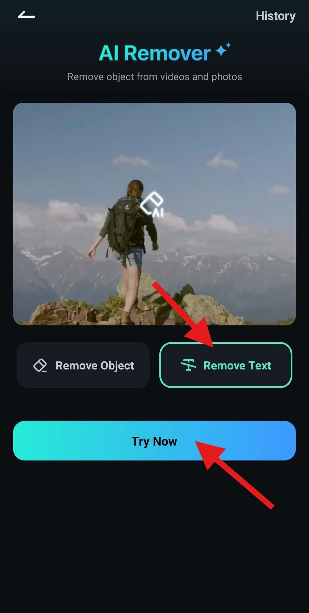 select remove text ai remover feature