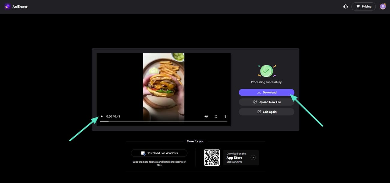 download results from anieraser