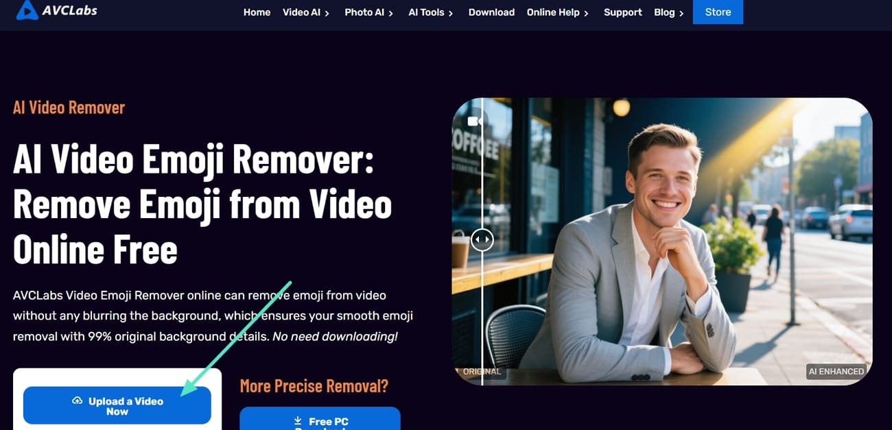 avclabs remove sticker from video