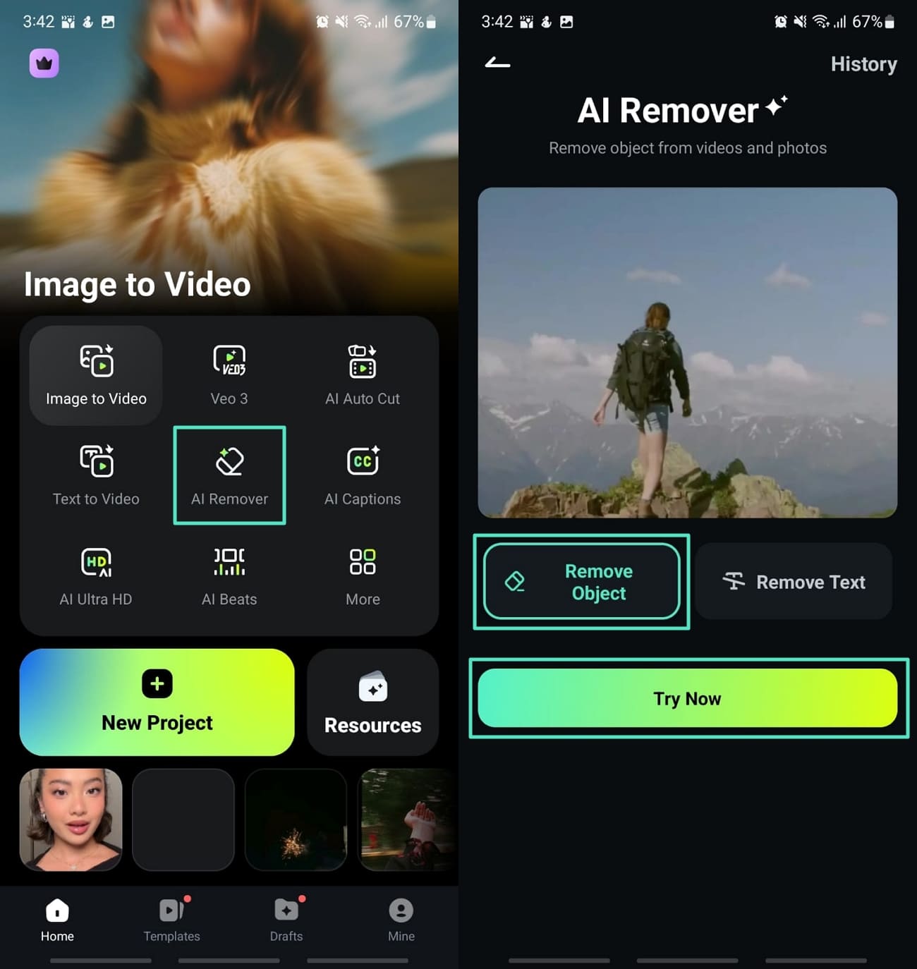 filmora app ai remover
