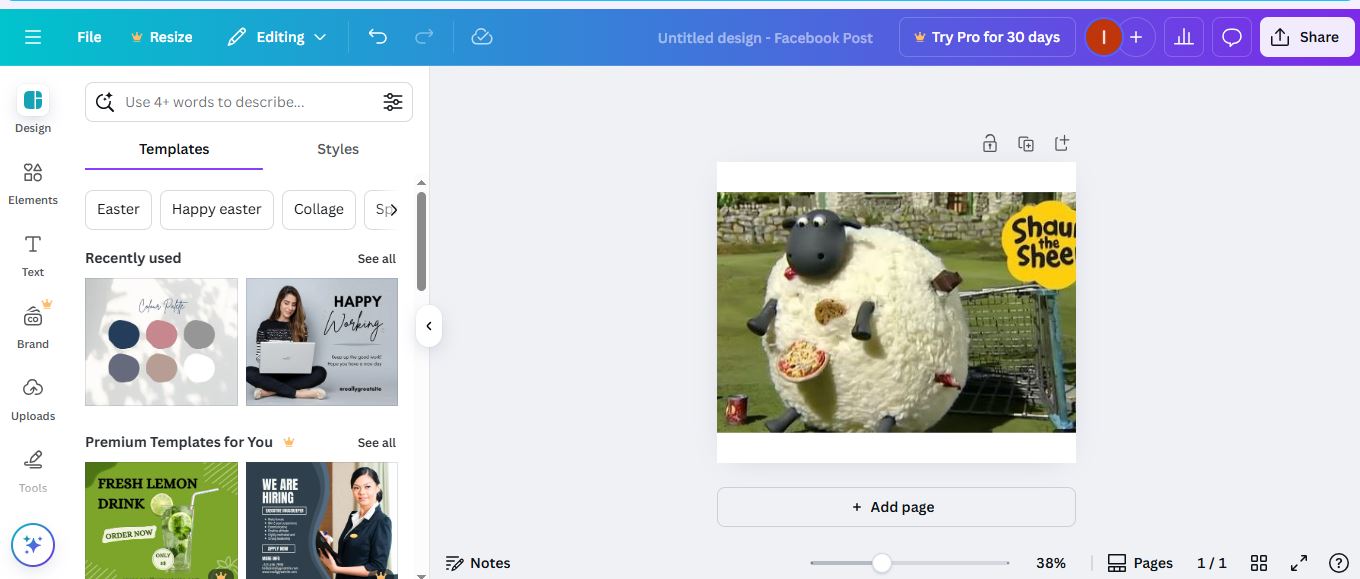 how to hide text in canva