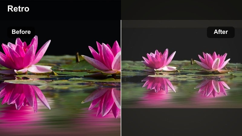 Film-style roadtrip scene with soft contrast and faded blacks.