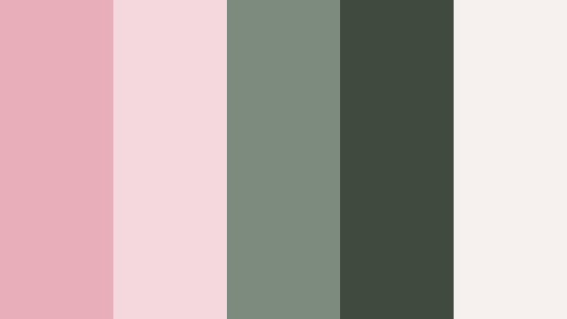 rose and sage storyboard powdered rose color palette with hex codes