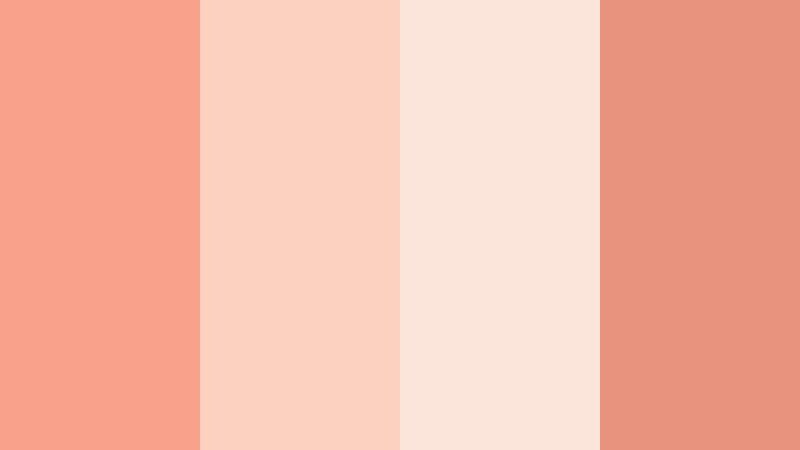 rose latte soft focus soft coral color palette with hex codes