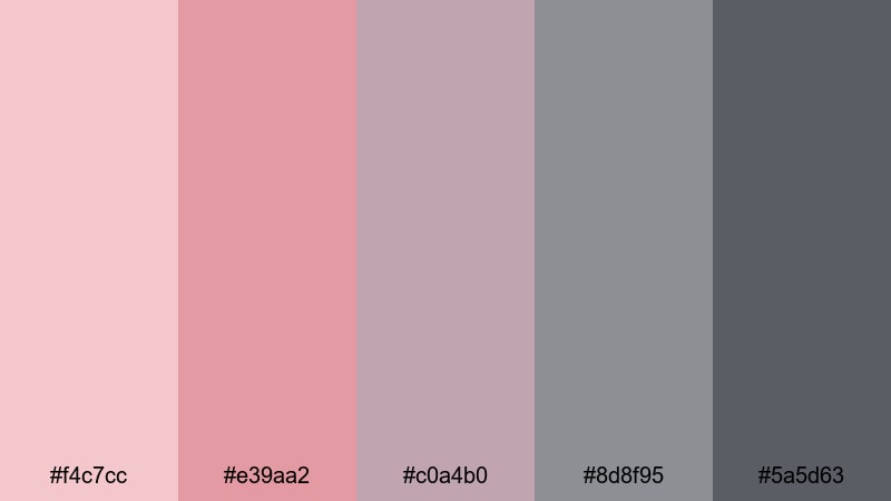 rose mist overcast gray red color palette with hex codes