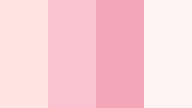 rose petal letters misty rose color palette with hex codes