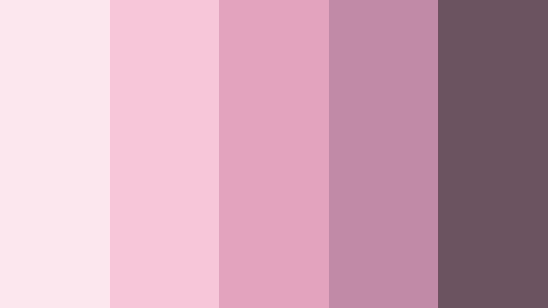 rose quartz horizon stardust pink color palette with hex codes