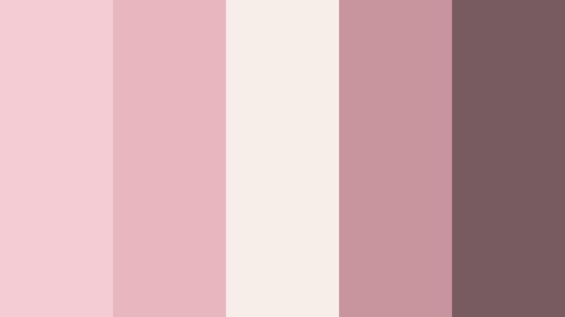 rosewater silk wedding video color color palette with hex codes