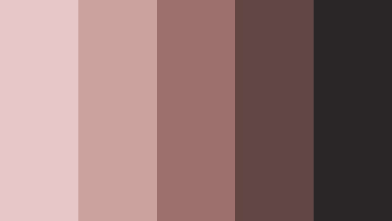 rosewood minimalist pink and brown skincare brand color color palette with hex codes
