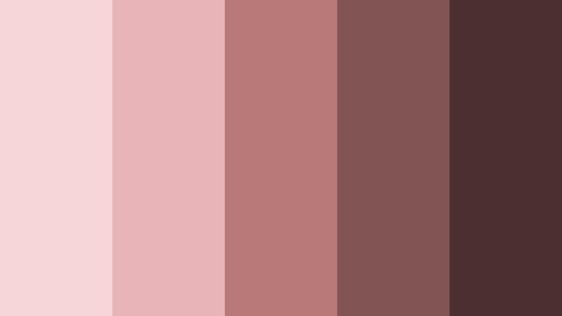 rosewood petal pink and brown skincare brand color color palette with hex codes