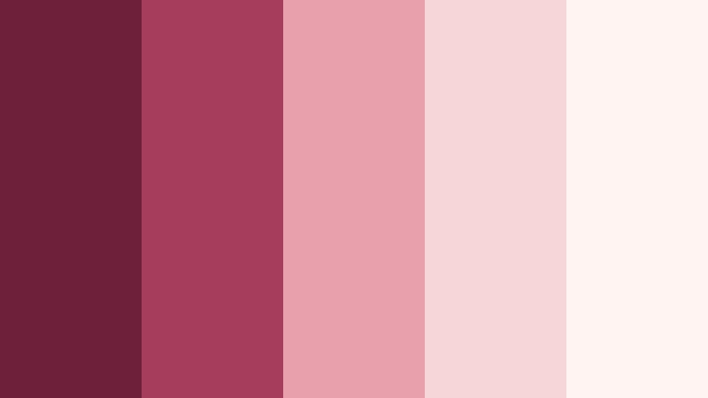 rosewood romance burgundy and blush jewelry store color color palette with hex codes