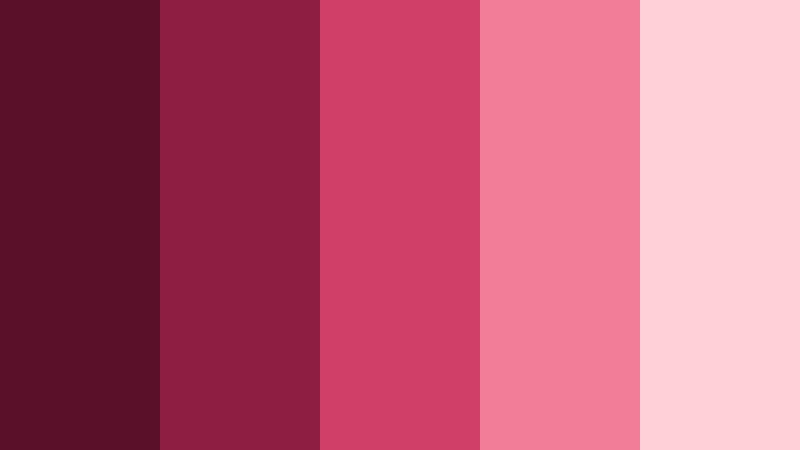 ruby petal pop burgundy and blush jewelry store color color palette with hex codes