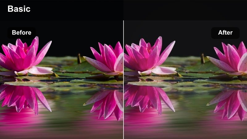 Model posing in dramatic studio light with matte cinematic contrast.