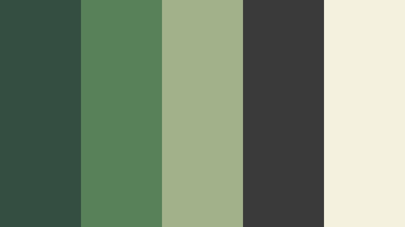 sage executive green and charcoal hr software color color palette with hex codes