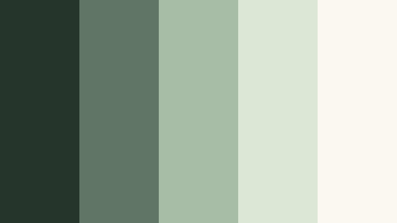 sage paper story product video color color palette with hex codes