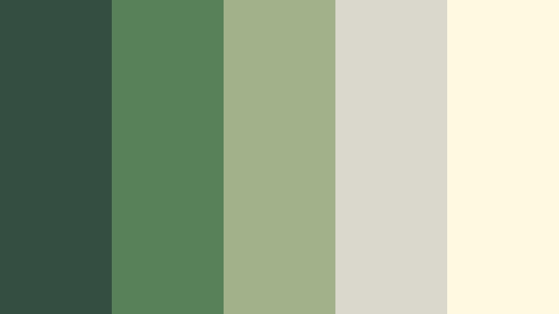 sage perspective brand color palette color palette with hex codes