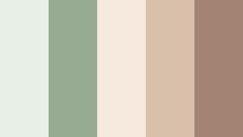 sage ribbon gift wrap sage green and beige cafe color color palette with hex codes