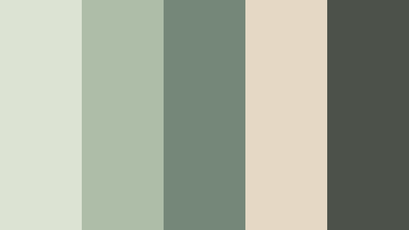 sage satin ceremony wedding video color color palette with hex codes