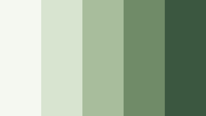 sage studio calm monochromatic color color palette with hex codes
