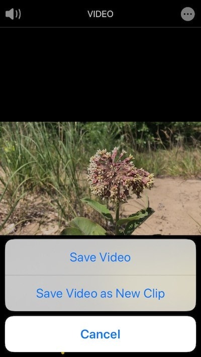 save trimmed video photos app