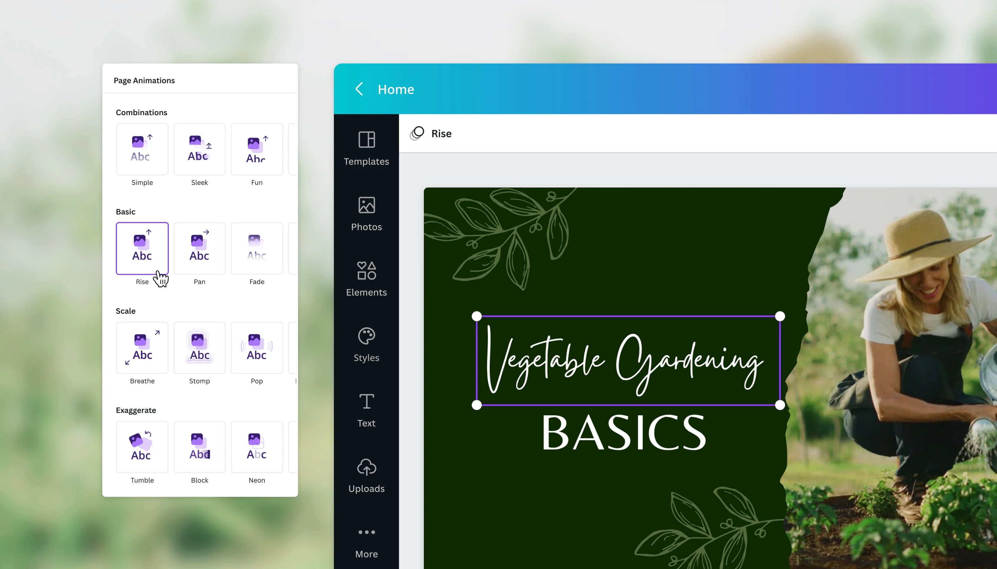 canva text animation generator