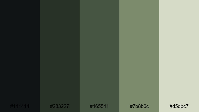 secret archive door library color palette with hex codes