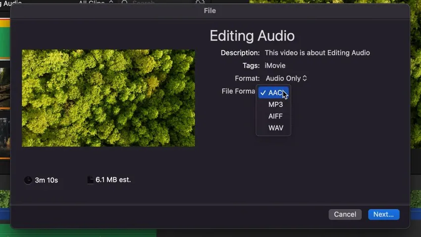 choose the audio-only format