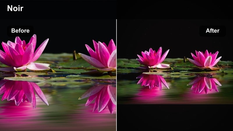 High-contrast path through the woods with noir cinematic tones