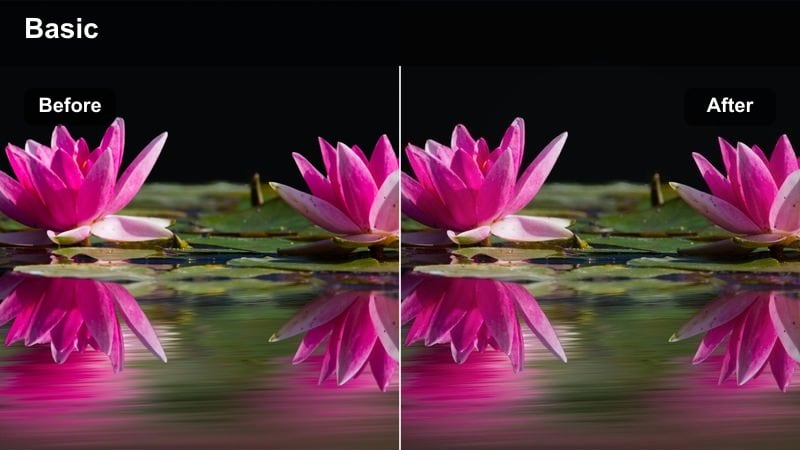 Dramatic low-key portrait with deep shadows obscuring part of the subject's face.