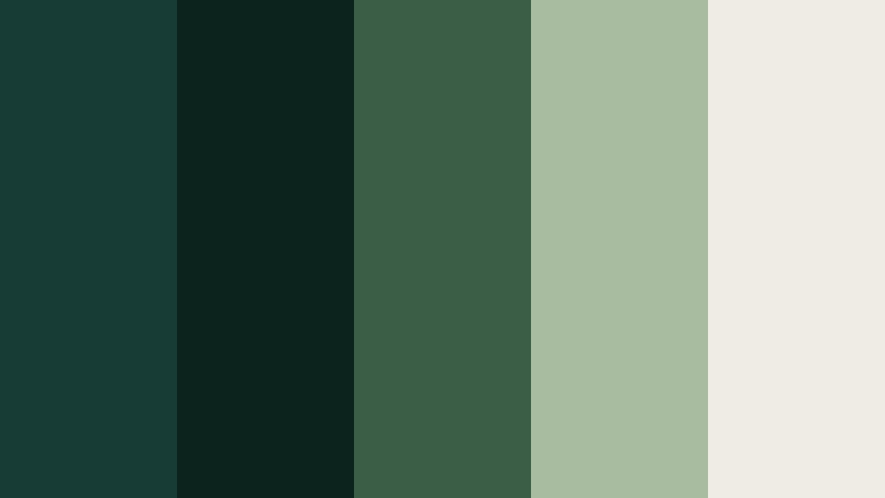 shadowed forest frame jade shadow color palette with hex codes
