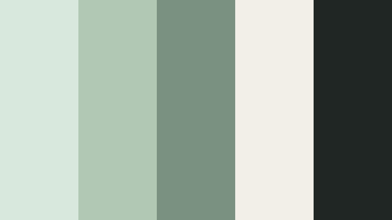 signature studio brand pale eucalyptus color palette with hex codes