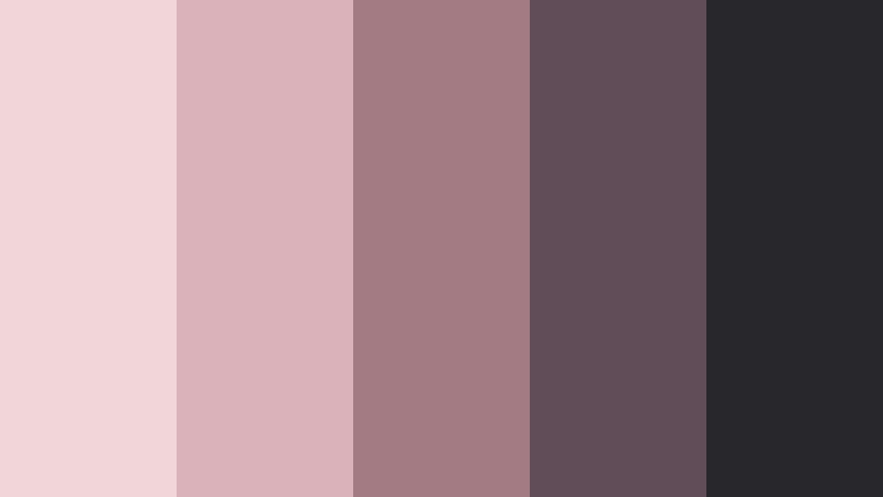 silk blush nocturne pink and brown skincare brand color color palette with hex codes