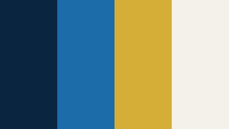 silk navy reveal animated logo color color palette with hex codes