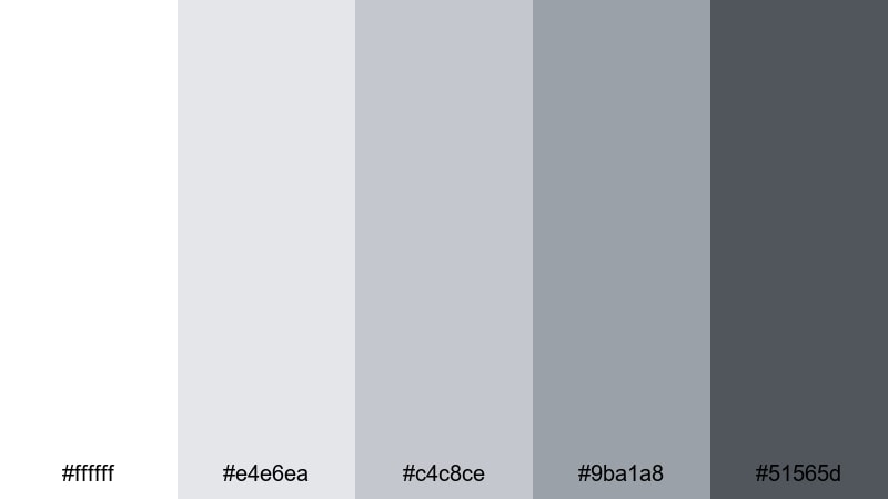 silver lining branding ash grey color palette with hex codes