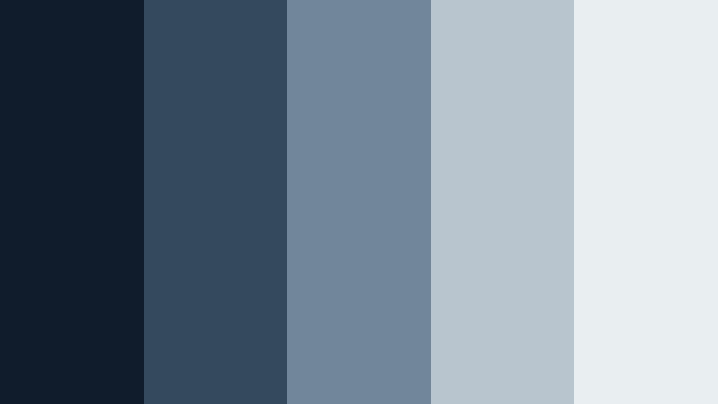 silver strategy blue and silver financial advisor color color palette with hex codes