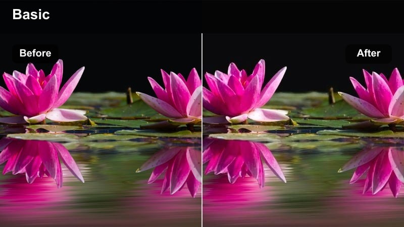 Cozy living room with a person reading beside a warm table lamp.