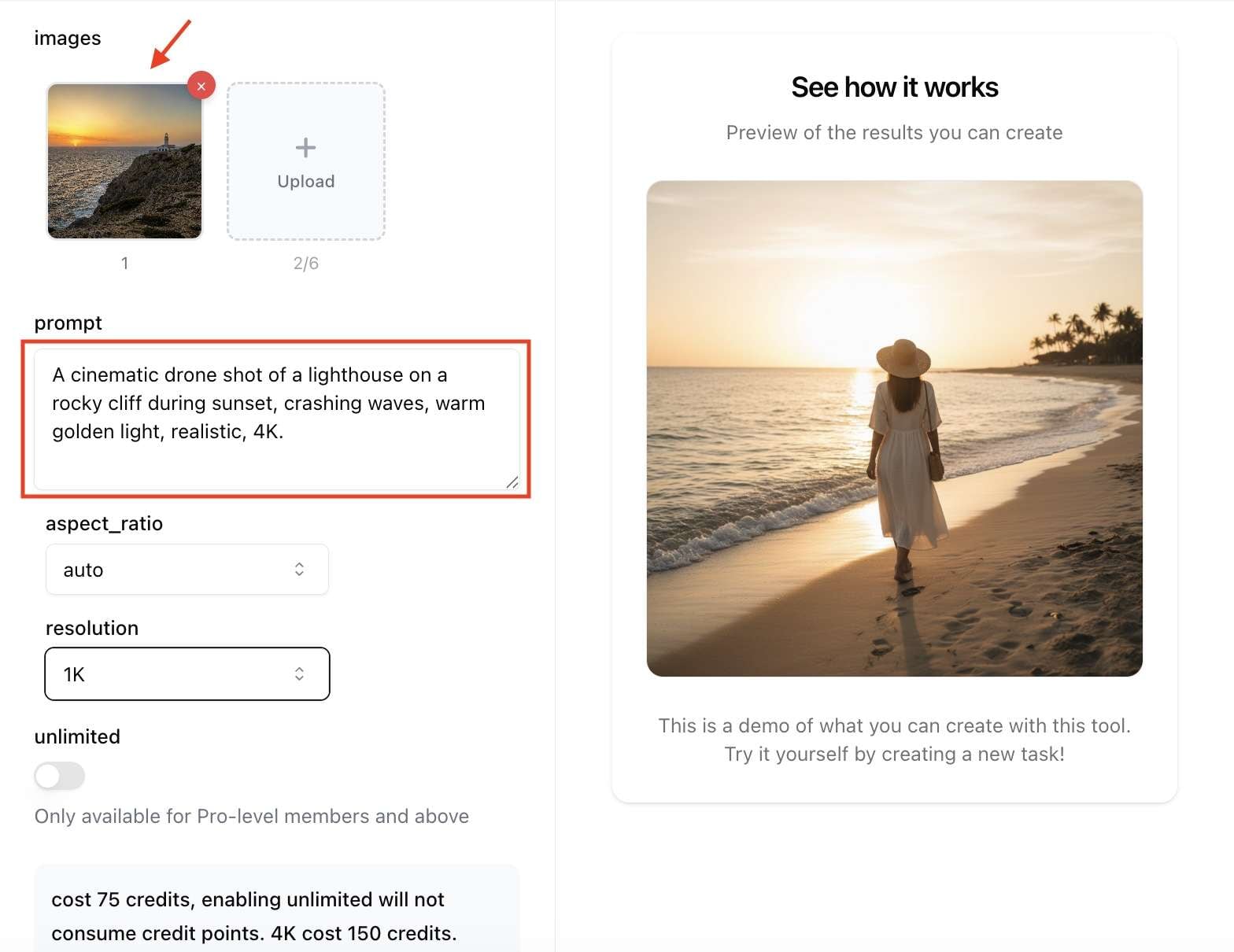 input the prompt and image references